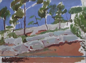 The Road to Le Thonolet