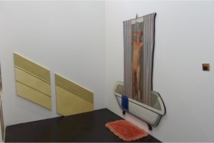 Installation ' A Sense of Place' by Paul Critchley at Art.Fair Cologne 2014, 'bathroom'