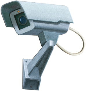 'I've got my eye on you' oil painting by Paul Critchley. 