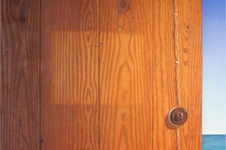 "I remember a dream of a house by the sea. It was spring, I think", detail