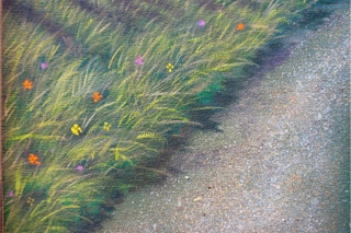 "I remember a dream of a house by the sea. It was spring, I think", detail