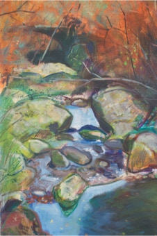 Rockpool, detail